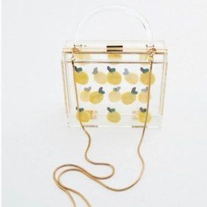 Zara Transparent Methacrylate Acrylic Clear Lemon Print Box Bag
